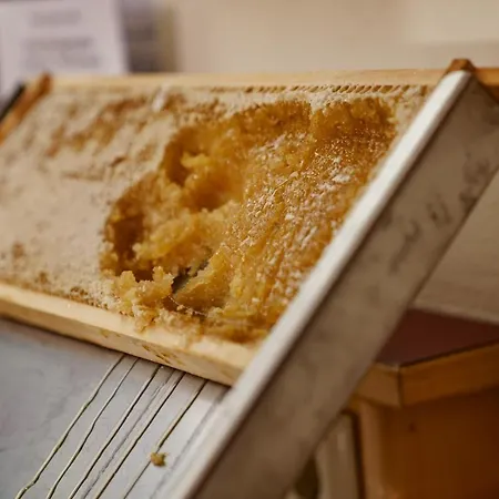 Panoramahotel Guertl Ξενοδοχείο