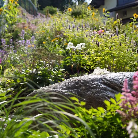 Panoramahotel Guertl Haus im Ennstal