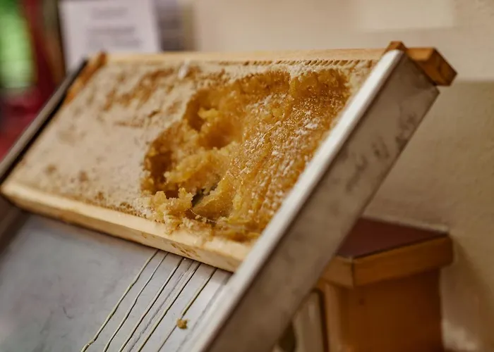 Panoramahotel Guertl فندق